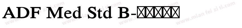 ADF Med Std B字体转换